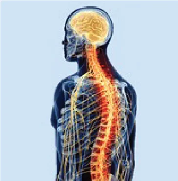 Types of Brain and Spinal Cord Tumors & Treatments
